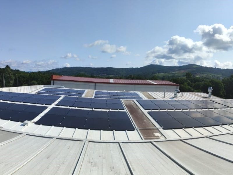 WhatsApp Image 2023-06-20 at 11.18.43 (1)